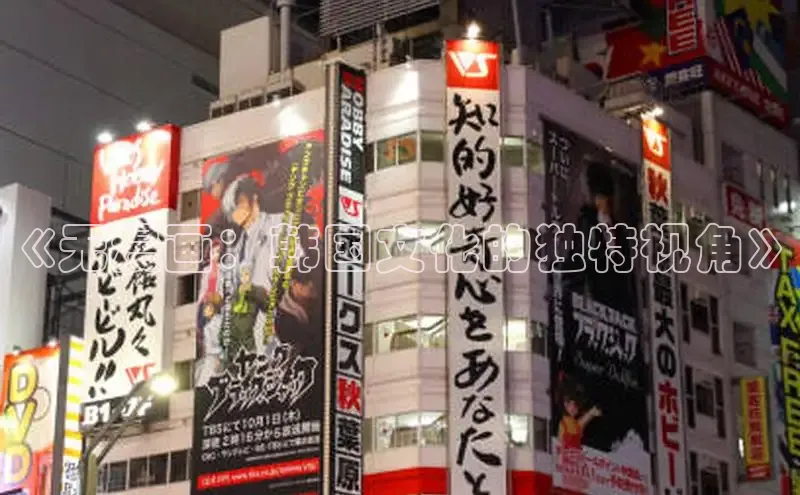 《无漫画：韩国文化的独特视角》